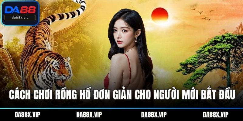 Cách chơi Rồng Hổ đơn giản cho người mới bắt đầu